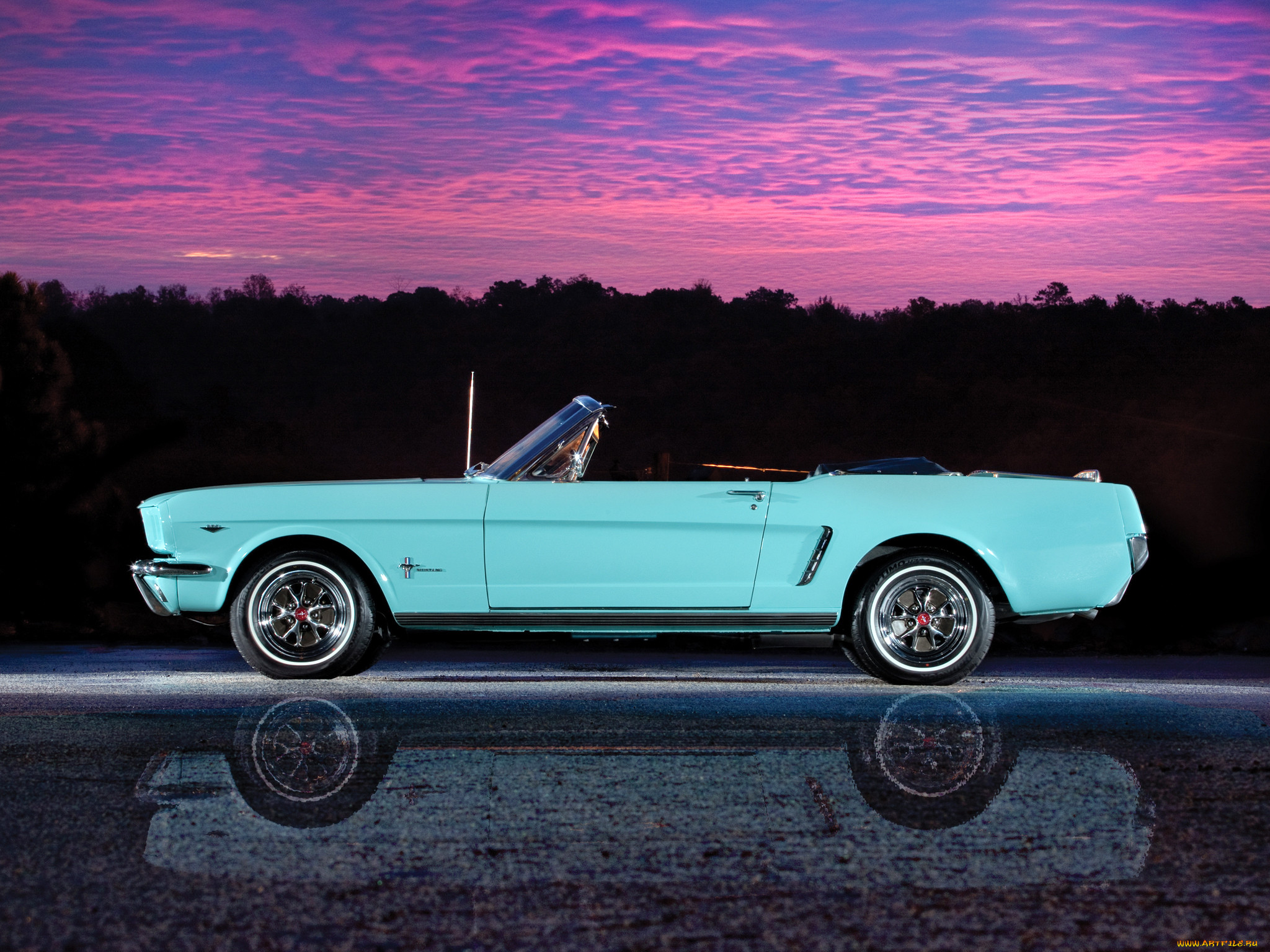 , mustang